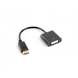 DisplayPort Mini - DVI-I...